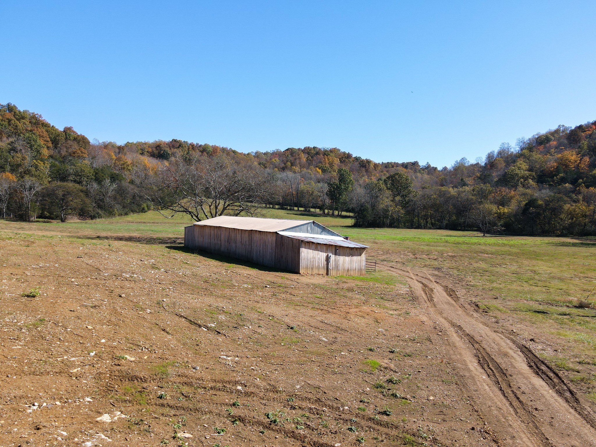 499 Tallent Road Pulaski, TN 38478 - Photo 28 of 38 a backyard of a house with large trees