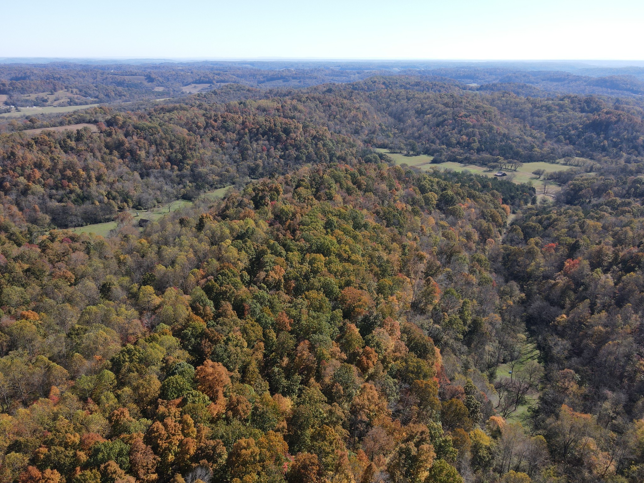 499 Tallent Road Pulaski, TN 38478 - Photo 31 of 38 an aerial view of house with yard and mountain view in back