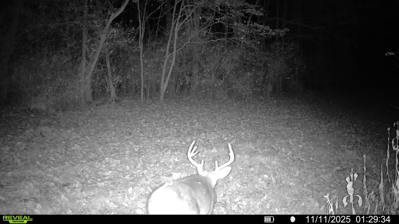 499 Tallent Road Pulaski, TN 38478 - Photo 9 of 38 a view of a room with floor to ceiling fan