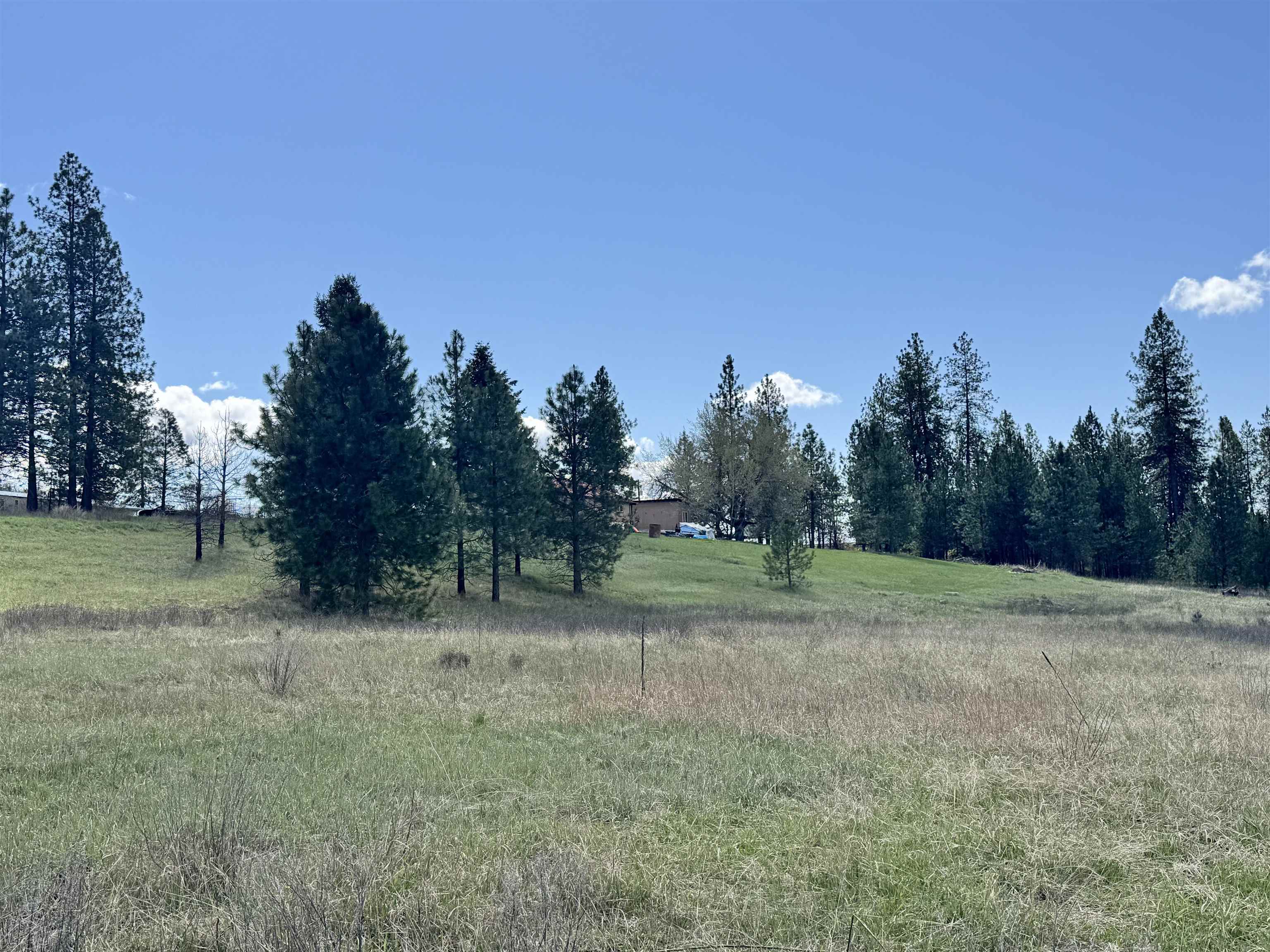 Xx West Webb Avenue Springdale, WA 99173 - Photo 9 of 11