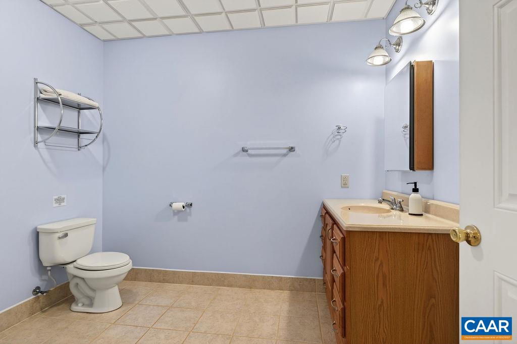 62 Summit Court Roseland, VA 22967 - Photo 52 of 75 a bathroom with a sink a toilet and mirror