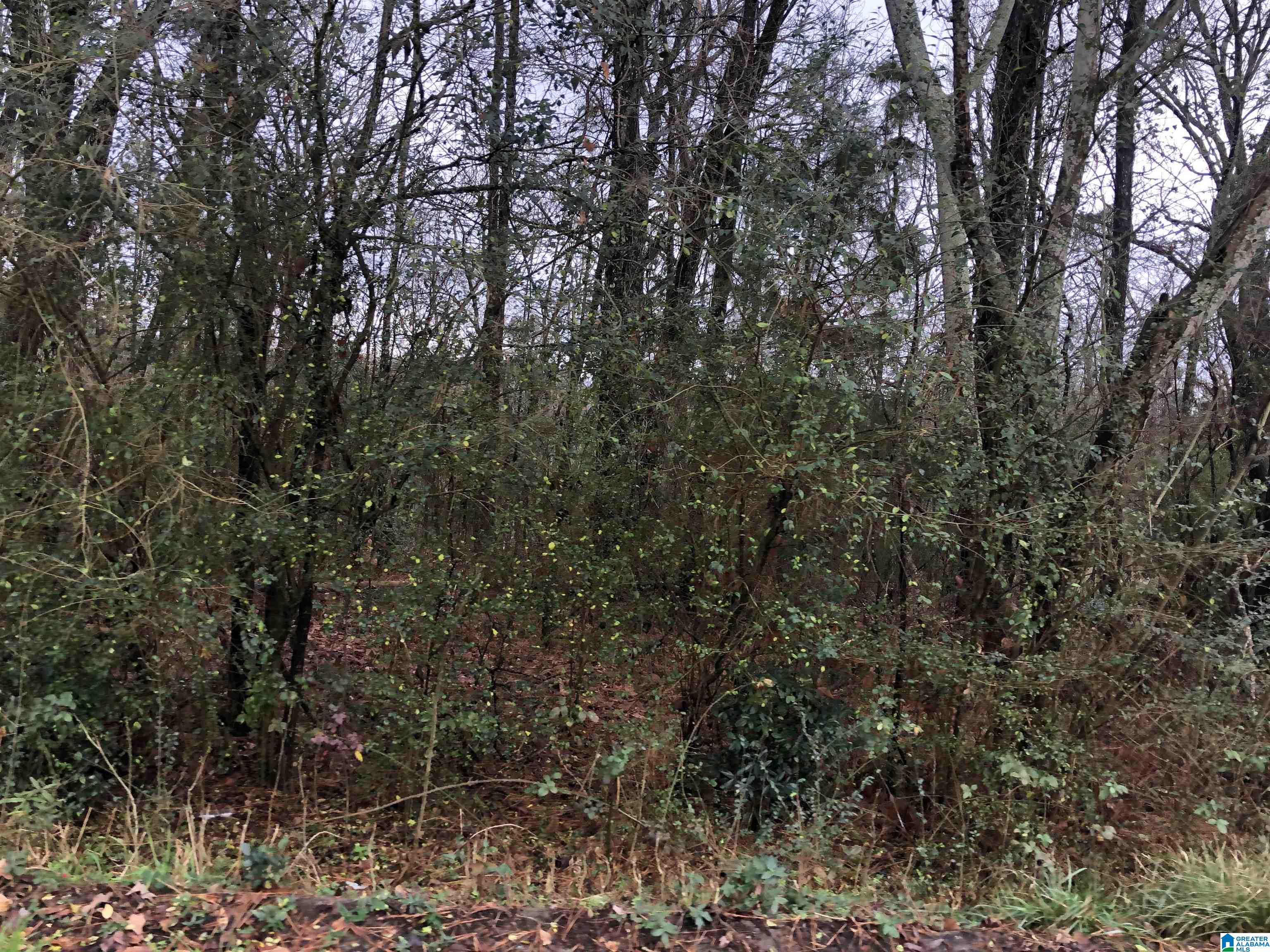 0 Autumn Ridge Trail, Unit 26 Pell City, AL 35128 - Photo 22 of 31