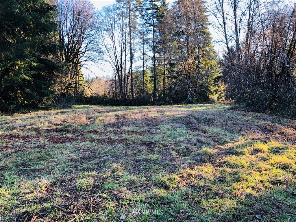 601 Robertson Road Longview, WA 98632 - Photo 4 of 25