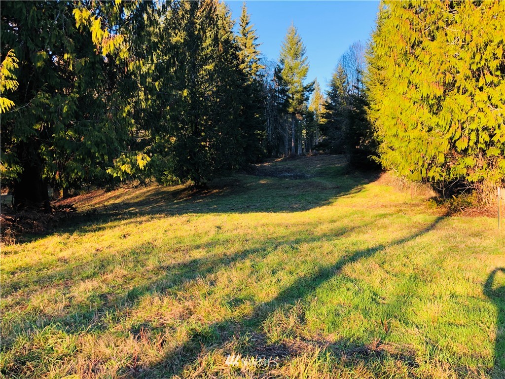 601 Robertson Road Longview, WA 98632 - Photo 6 of 25