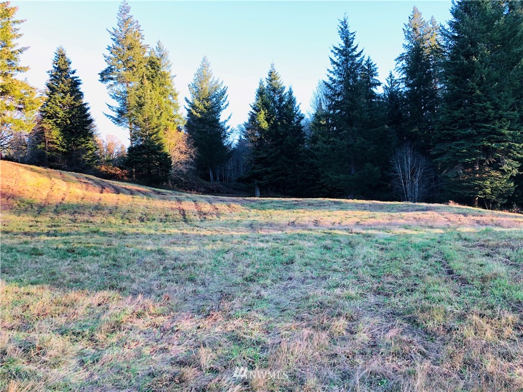 601 Robertson Road Longview, WA 98632 - Photo 7 of 25