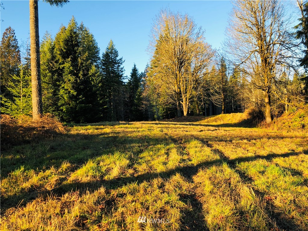 601 Robertson Road Longview, WA 98632 - Photo 8 of 25