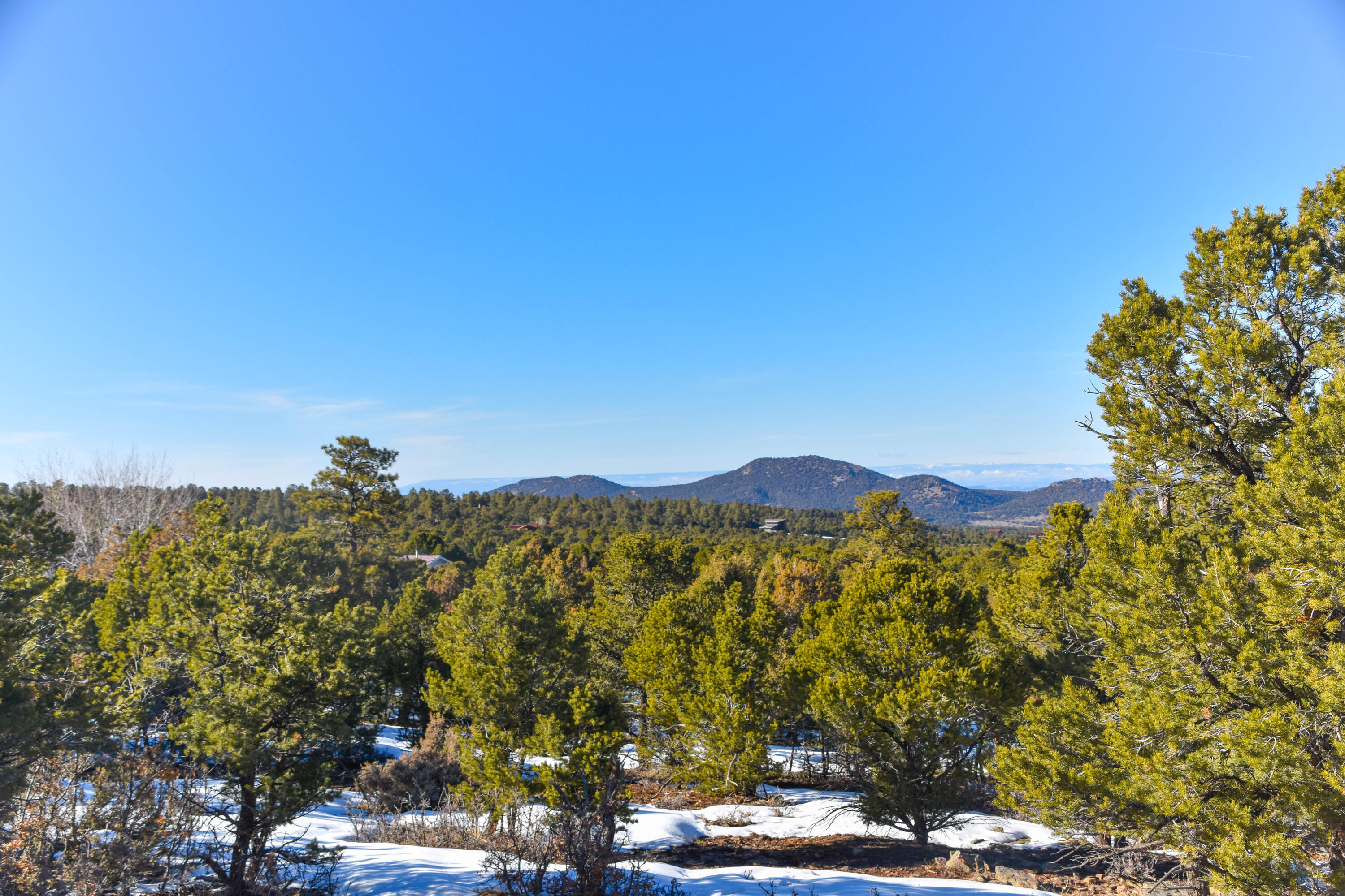 Tbd Tbd Pinon Ridgway, CO 81432 - Photo 9 of 25 g-10