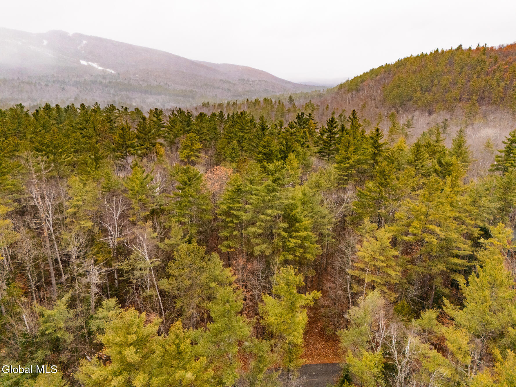 206 Mountain Path Johnsburg, NY 12853 - Photo 11 of 27 DJI_20251116131739_0021_D