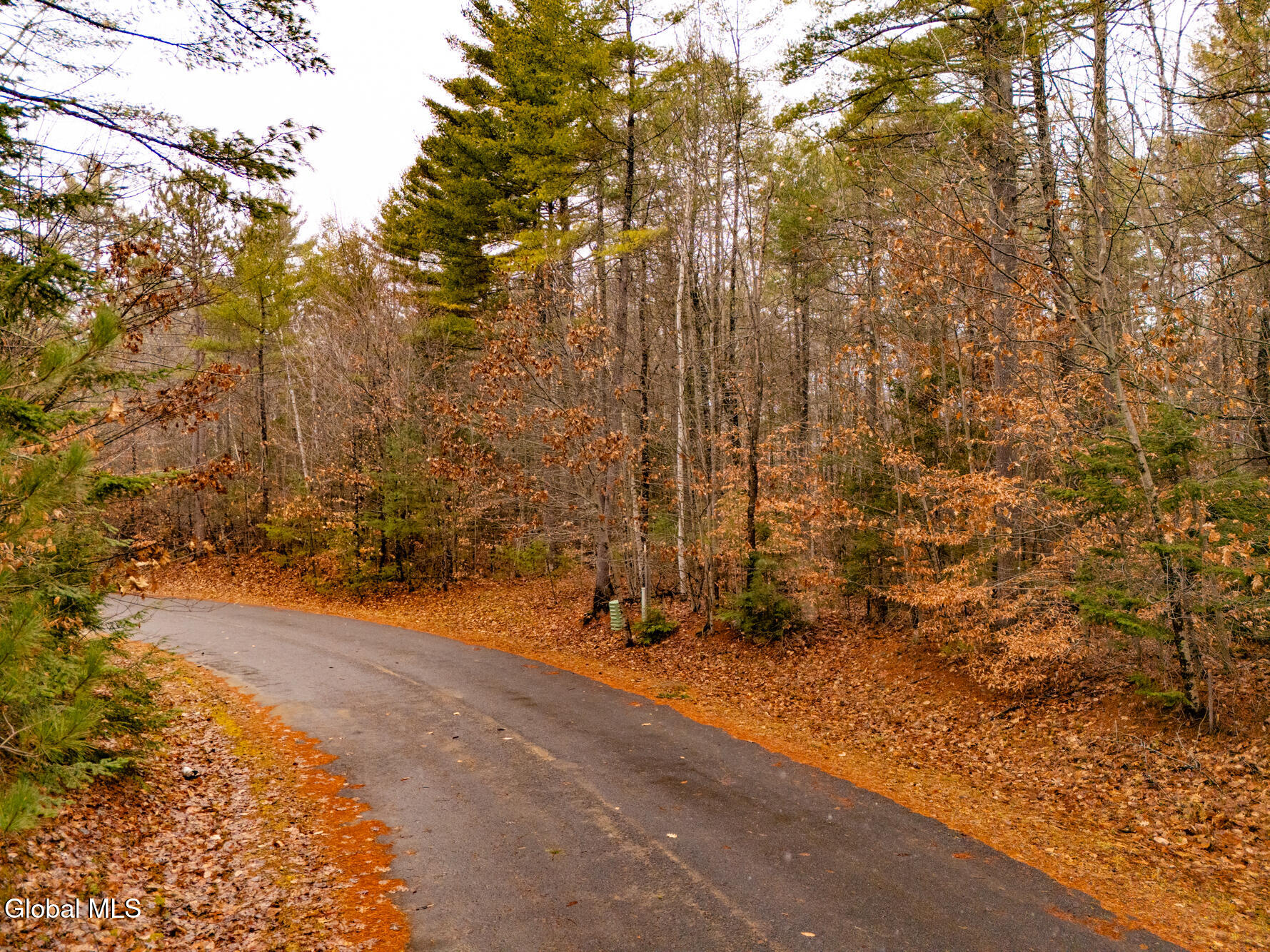 206 Mountain Path Johnsburg, NY 12853 - Photo 11 of 25 DJI_20251116132002_0035_D