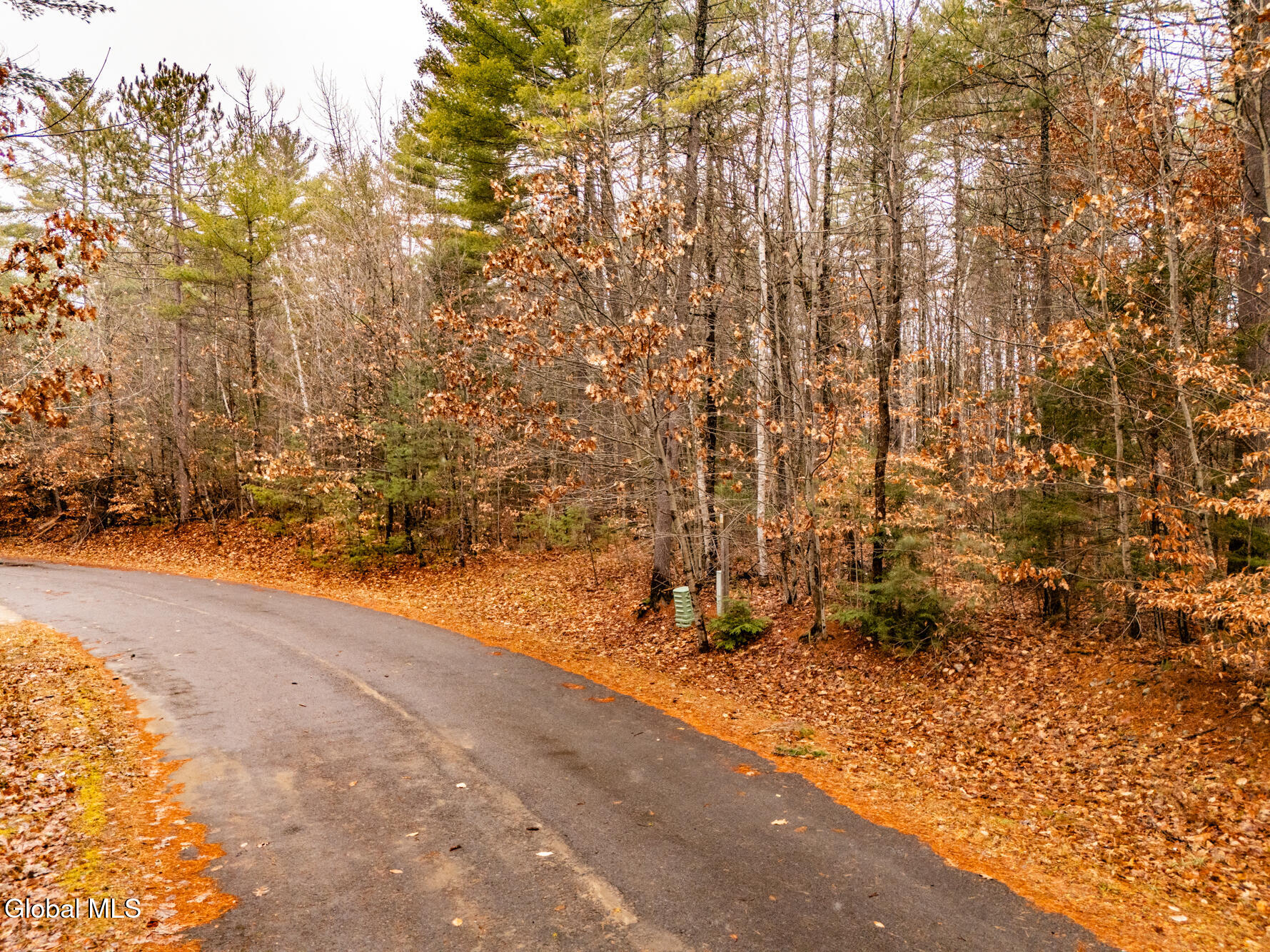 206 Mountain Path Johnsburg, NY 12853 - Photo 12 of 25 DJI_20251116131440_0010_D