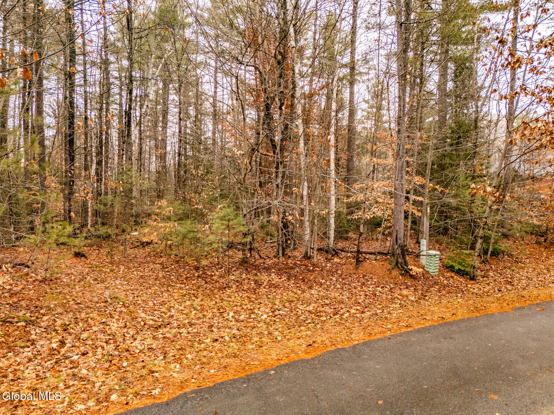 206 Mountain Path Johnsburg, NY 12853 - Photo 14 of 27 DJI_20251116131451_0011_D