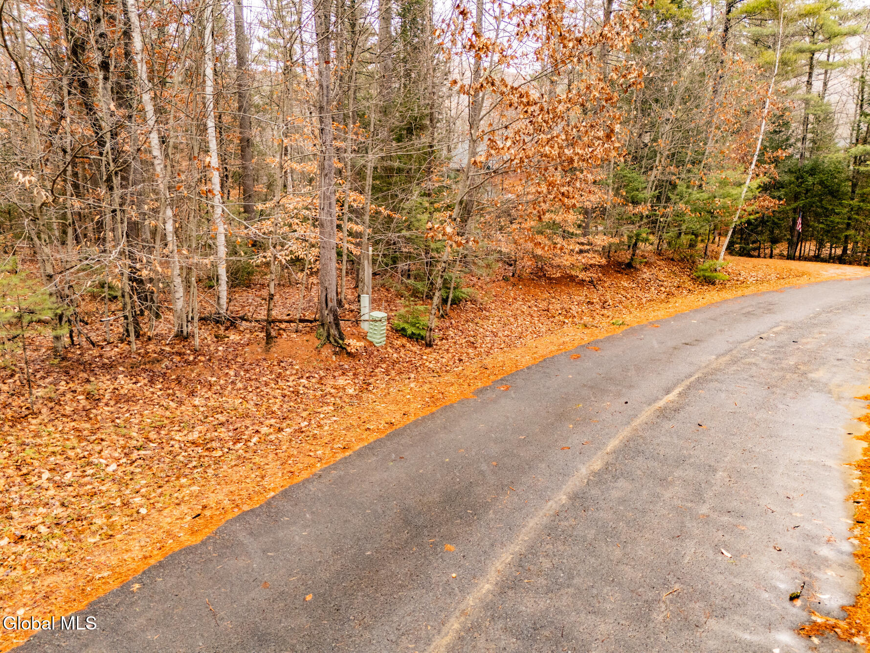 206 Mountain Path Johnsburg, NY 12853 - Photo 14 of 25 DJI_20251116131504_0012_D