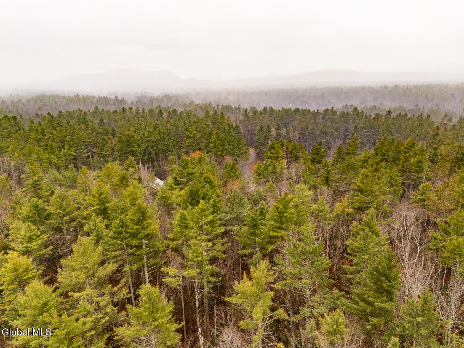 206 Mountain Path Johnsburg, NY 12853 - Photo 15 of 25 DJI_20251116131626_0019_D