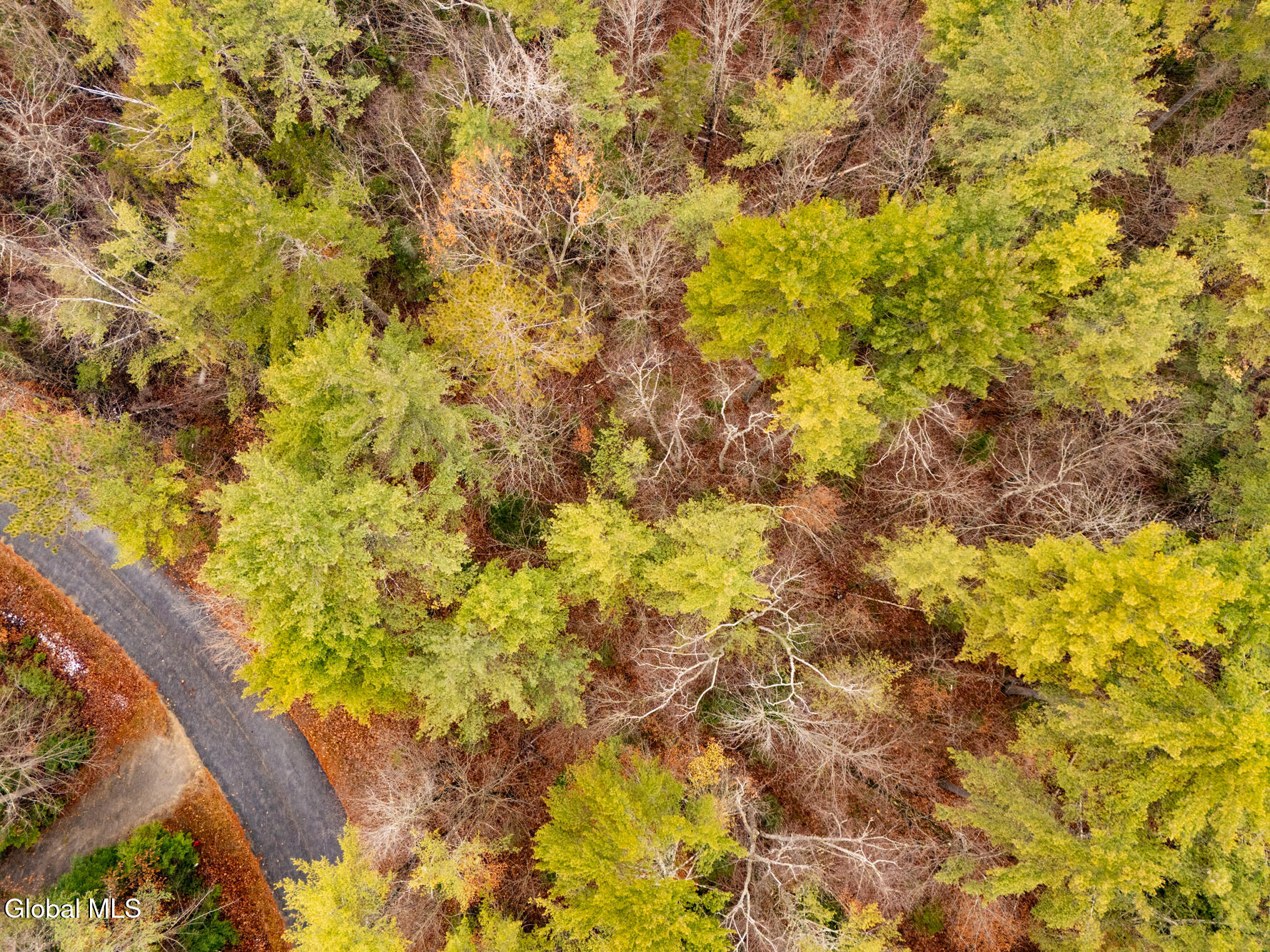 206 Mountain Path Johnsburg, NY 12853 - Photo 17 of 25 DJI_20251116131907_0028_D