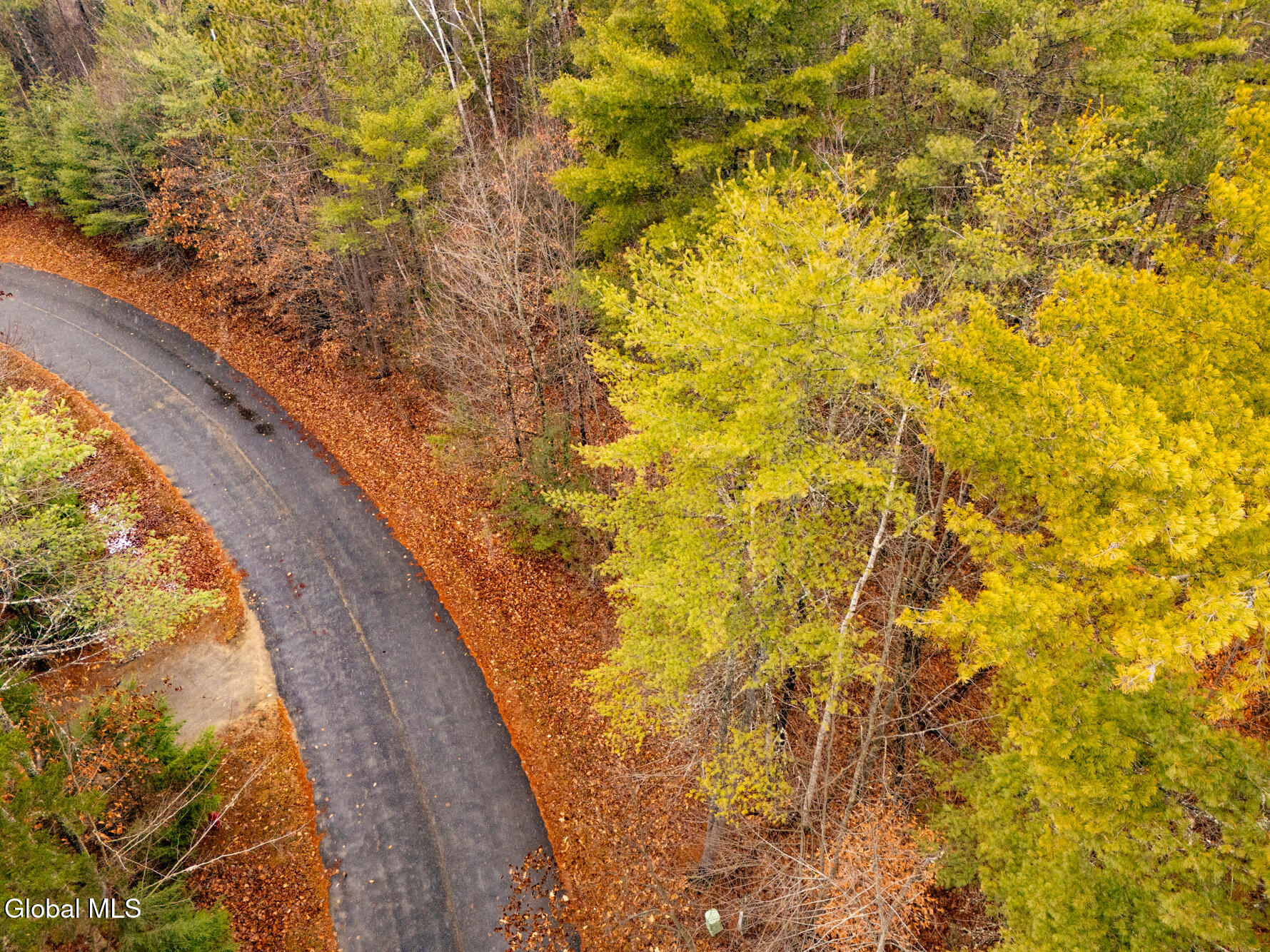 206 Mountain Path Johnsburg, NY 12853 - Photo 18 of 25 DJI_20251116131923_0030_D