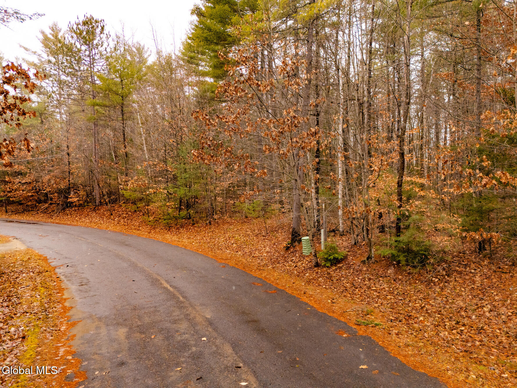 206 Mountain Path Johnsburg, NY 12853 - Photo 20 of 25 DJI_20251116131951_0033_D