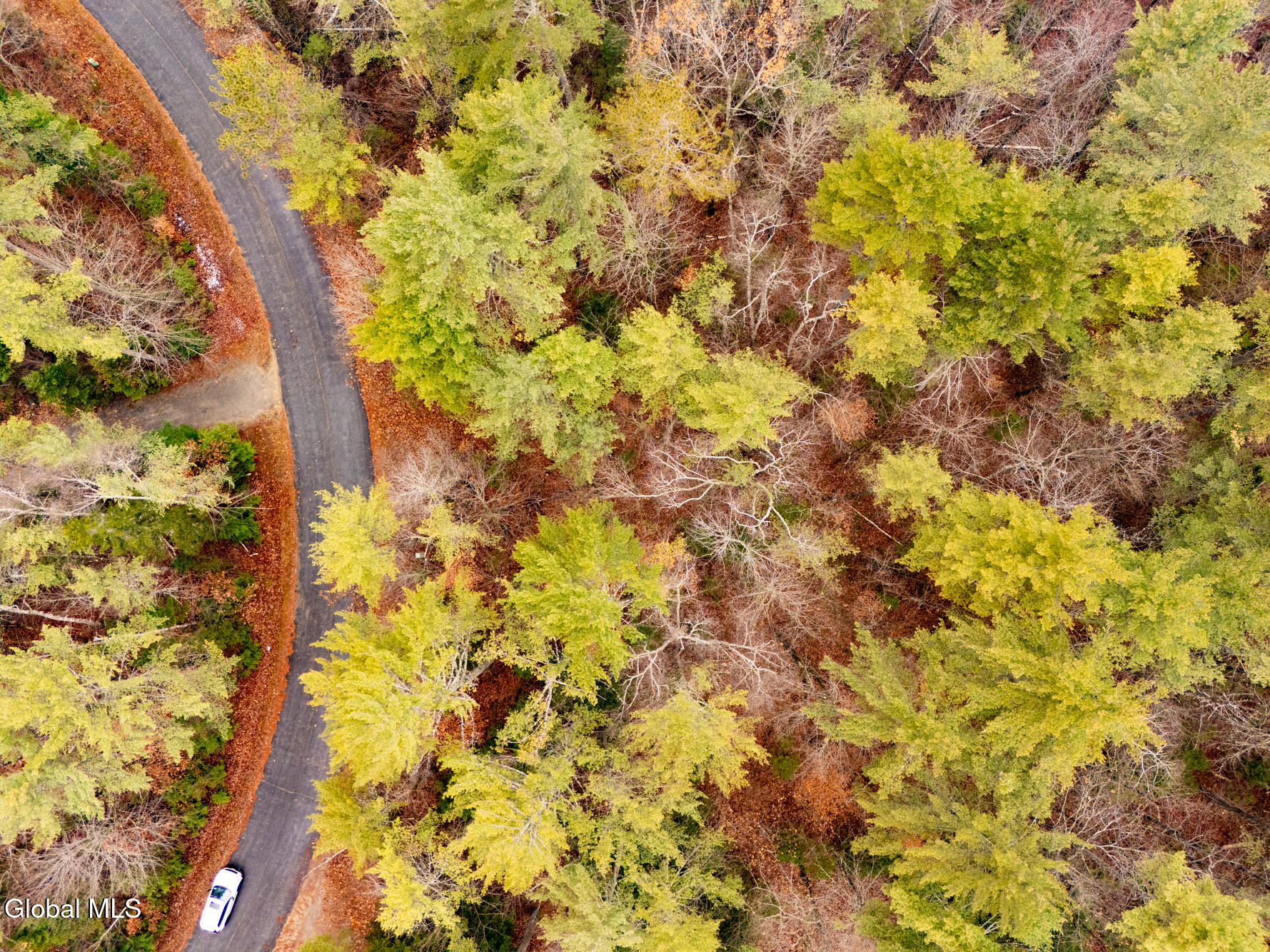206 Mountain Path Johnsburg, NY 12853 - Photo 22 of 25 DJI_20251116131537_0014_D