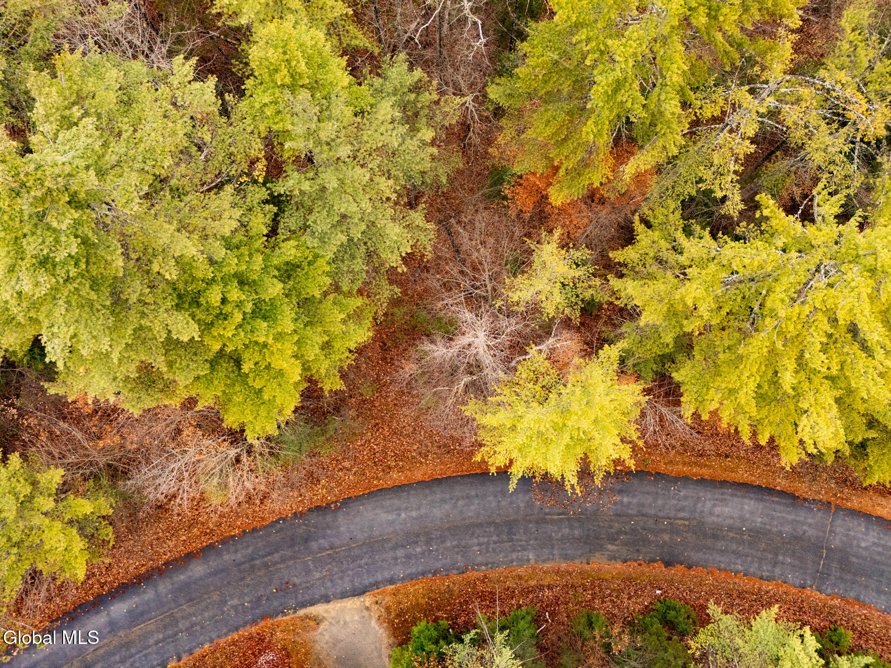 206 Mountain Path Johnsburg, NY 12853 - Photo 22 of 27 DJI_20251116131524_0013_D