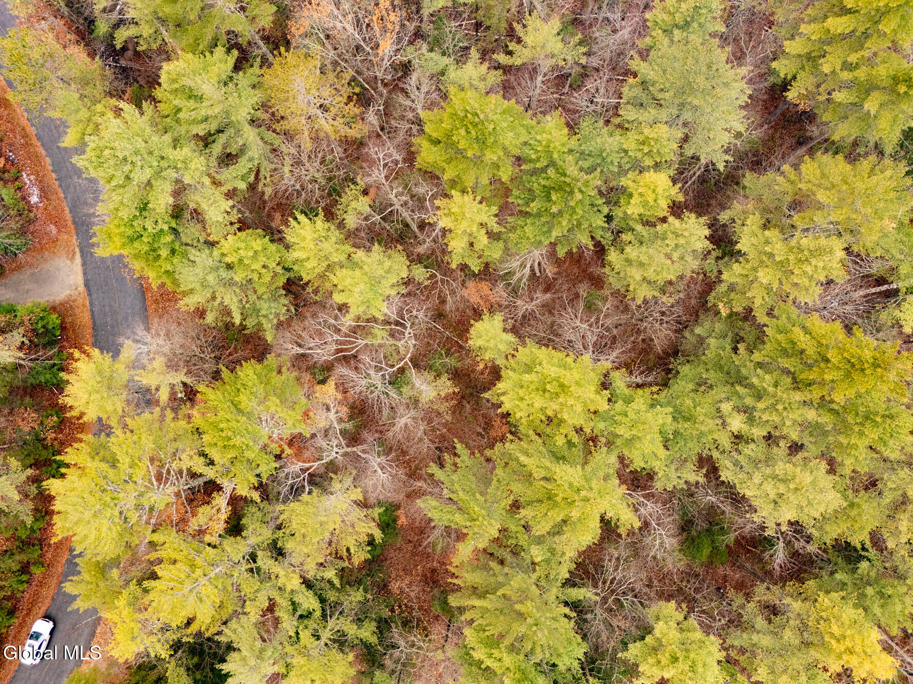 206 Mountain Path Johnsburg, NY 12853 - Photo 23 of 25 DJI_20251116131543_0015_D