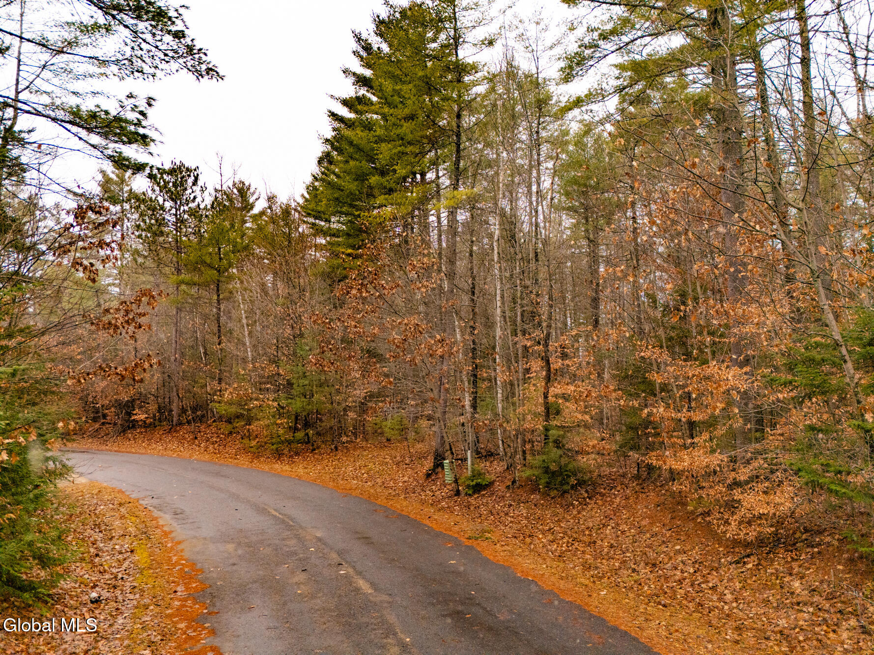 206 Mountain Path Johnsburg, NY 12853 - Photo 25 of 25 DJI_20251116131957_0034_D