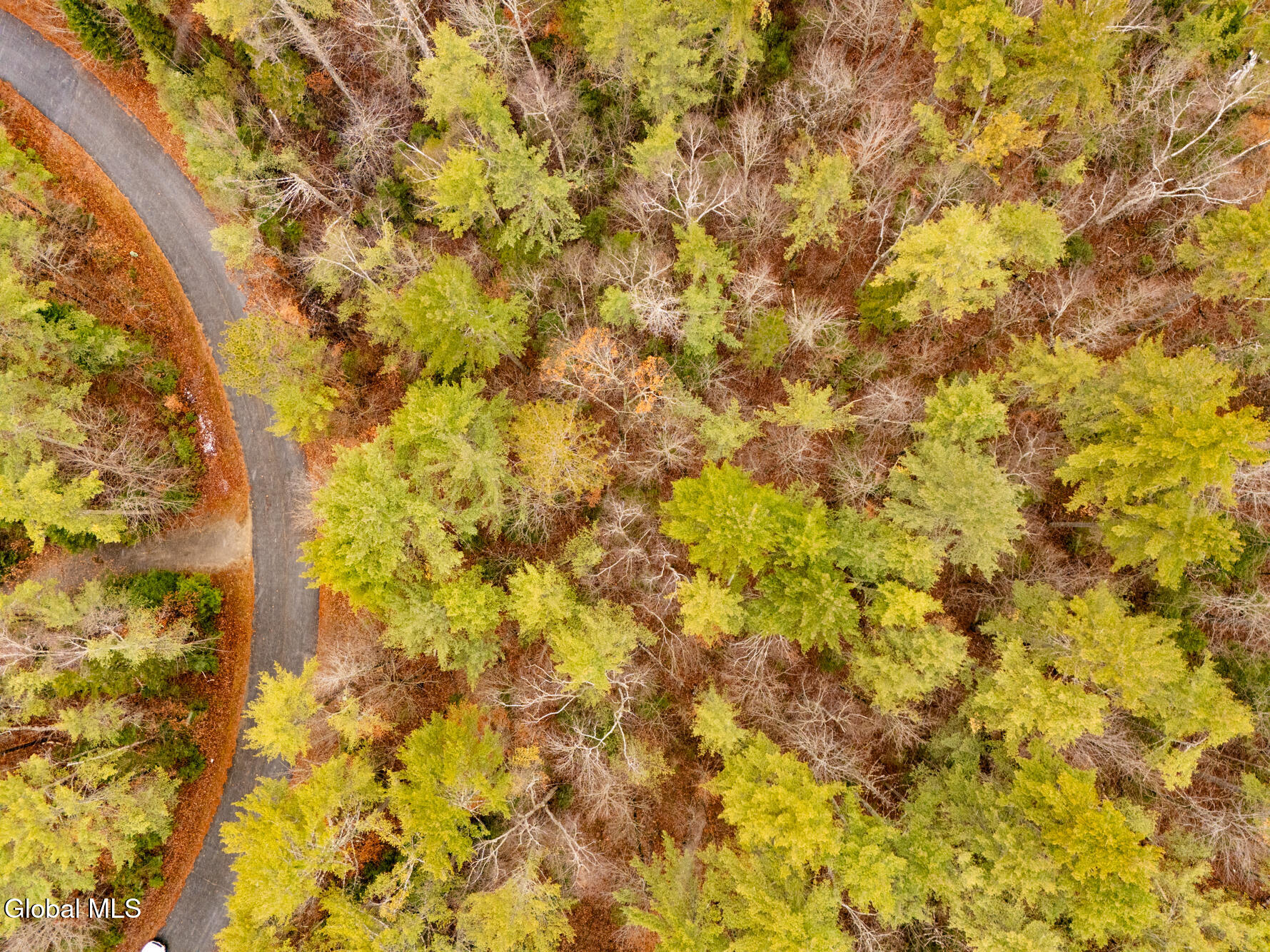 206 Mountain Path Johnsburg, NY 12853 - Photo 26 of 27 DJI_20251116131901_0027_D