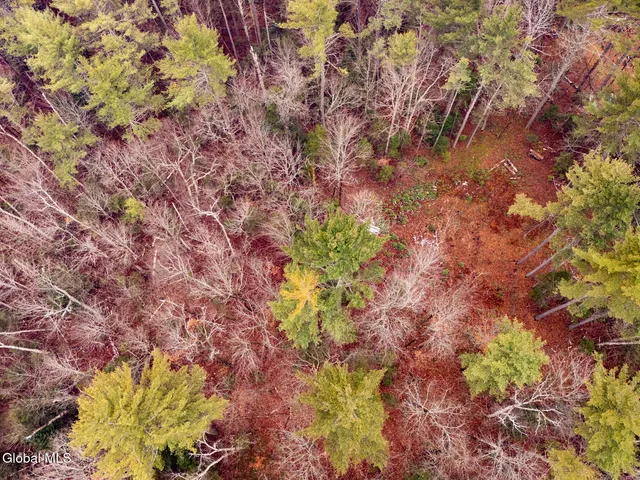 $49,900 | 206 Mountain Path, Johnsburg, NY 12853