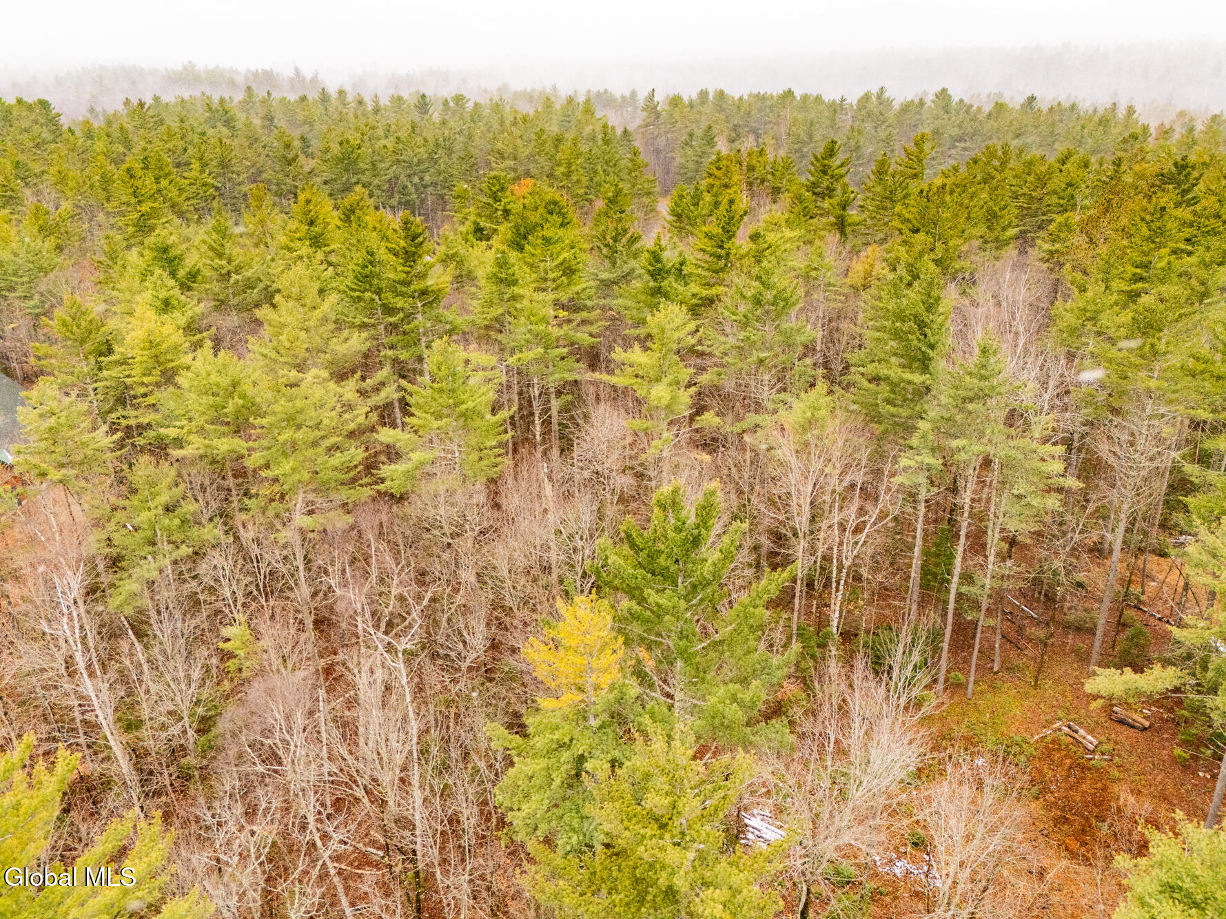 206 Mountain Path Johnsburg, NY 12853 - Photo 7 of 27 DJI_20251116131633_0020_D