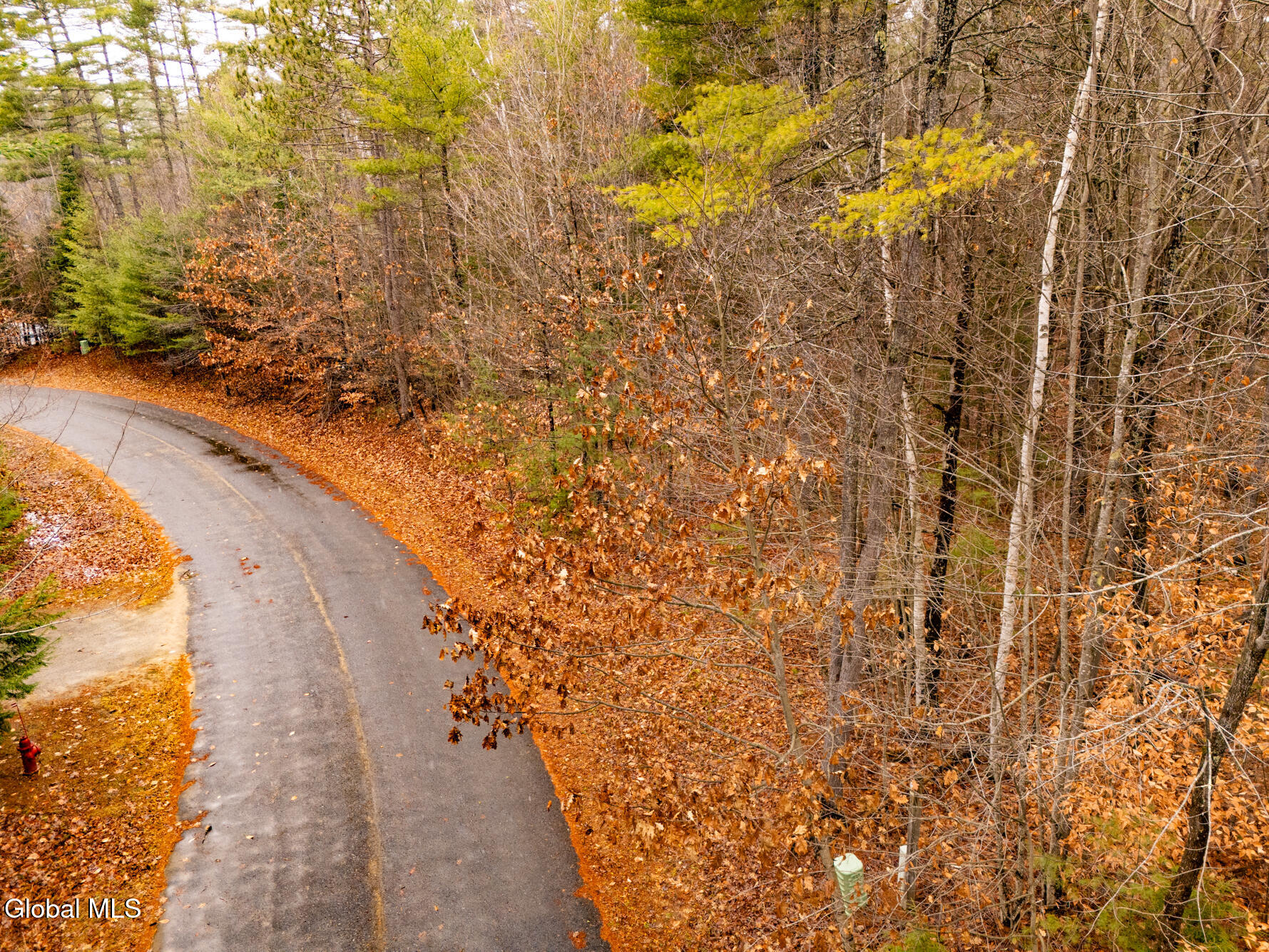 206 Mountain Path Johnsburg, NY 12853 - Photo 8 of 27 DJI_20251116131930_0031_D