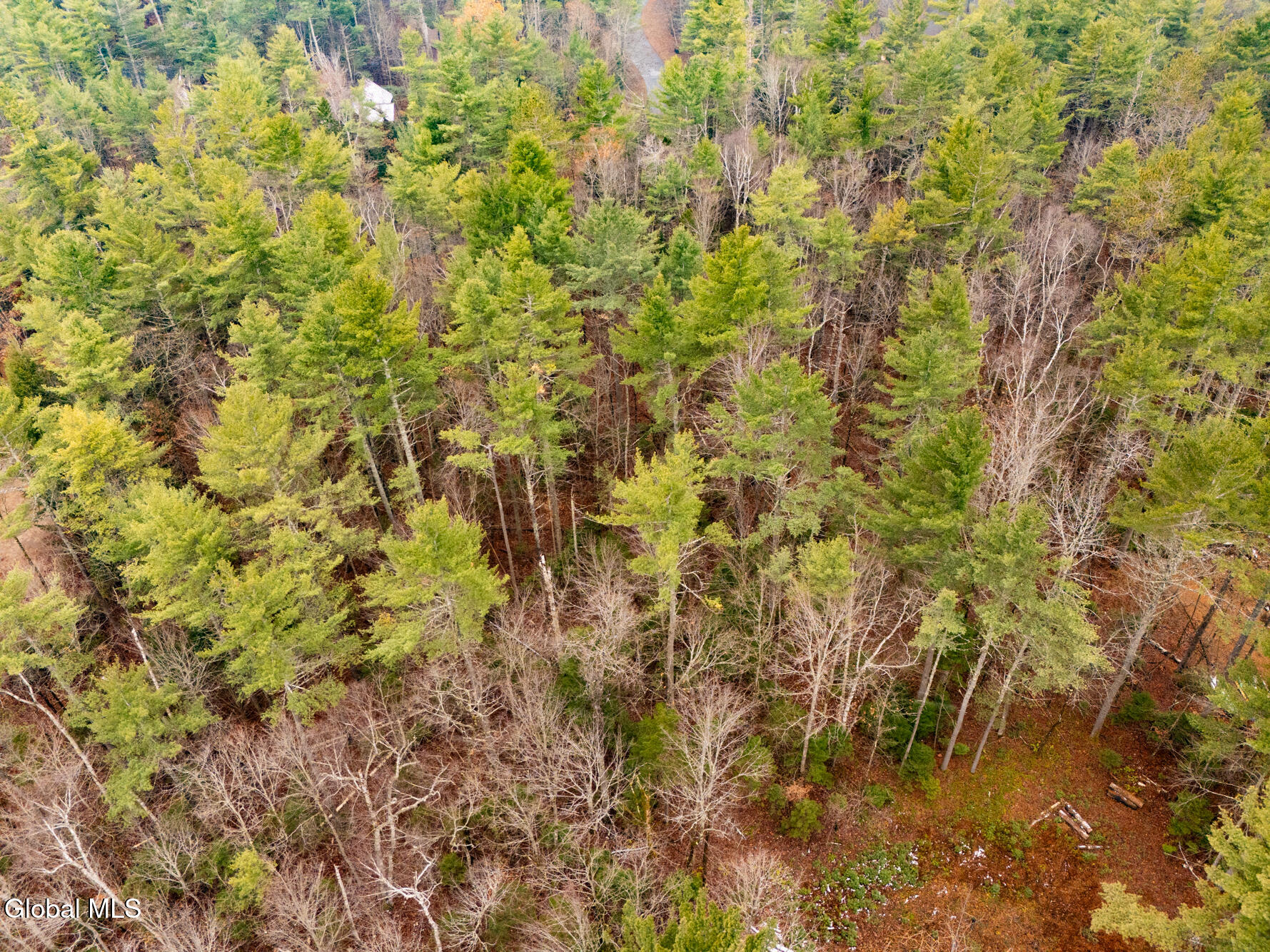 206 Mountain Path Johnsburg, NY 12853 - Photo 10 of 27 DJI_20251116131621_0018_D