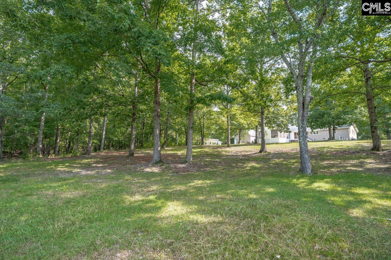 427 Lee Kleckley Road Lexington, SC 29072 - Photo 41 of 59 Gallery Image 41