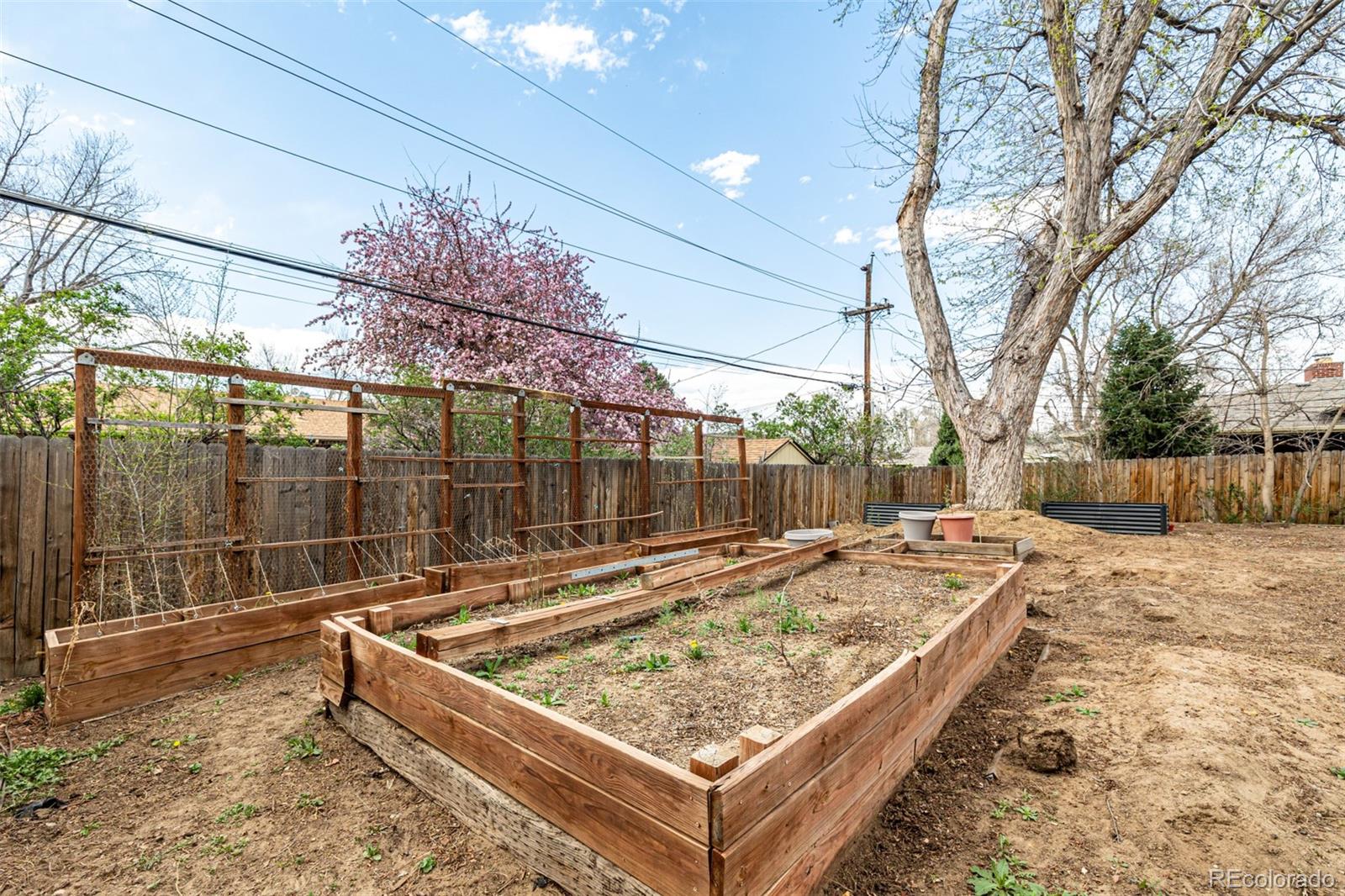 4725 Quay Street Wheat Ridge, CO 80033 - Photo 36 of 37