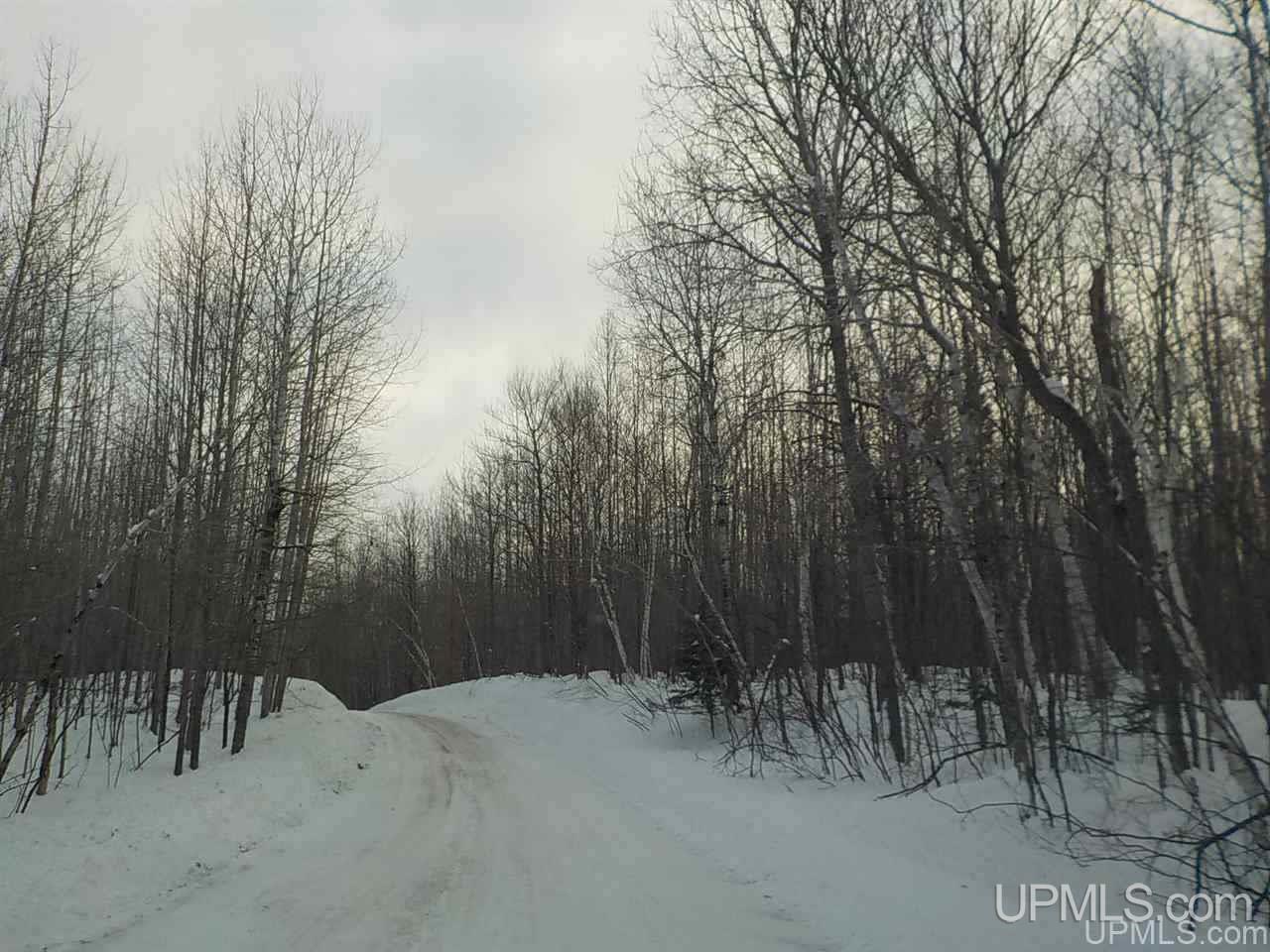 39.30-ac Armstrong Lake Road Crystal Falls, MI 49920 - Photo 23 of 24
