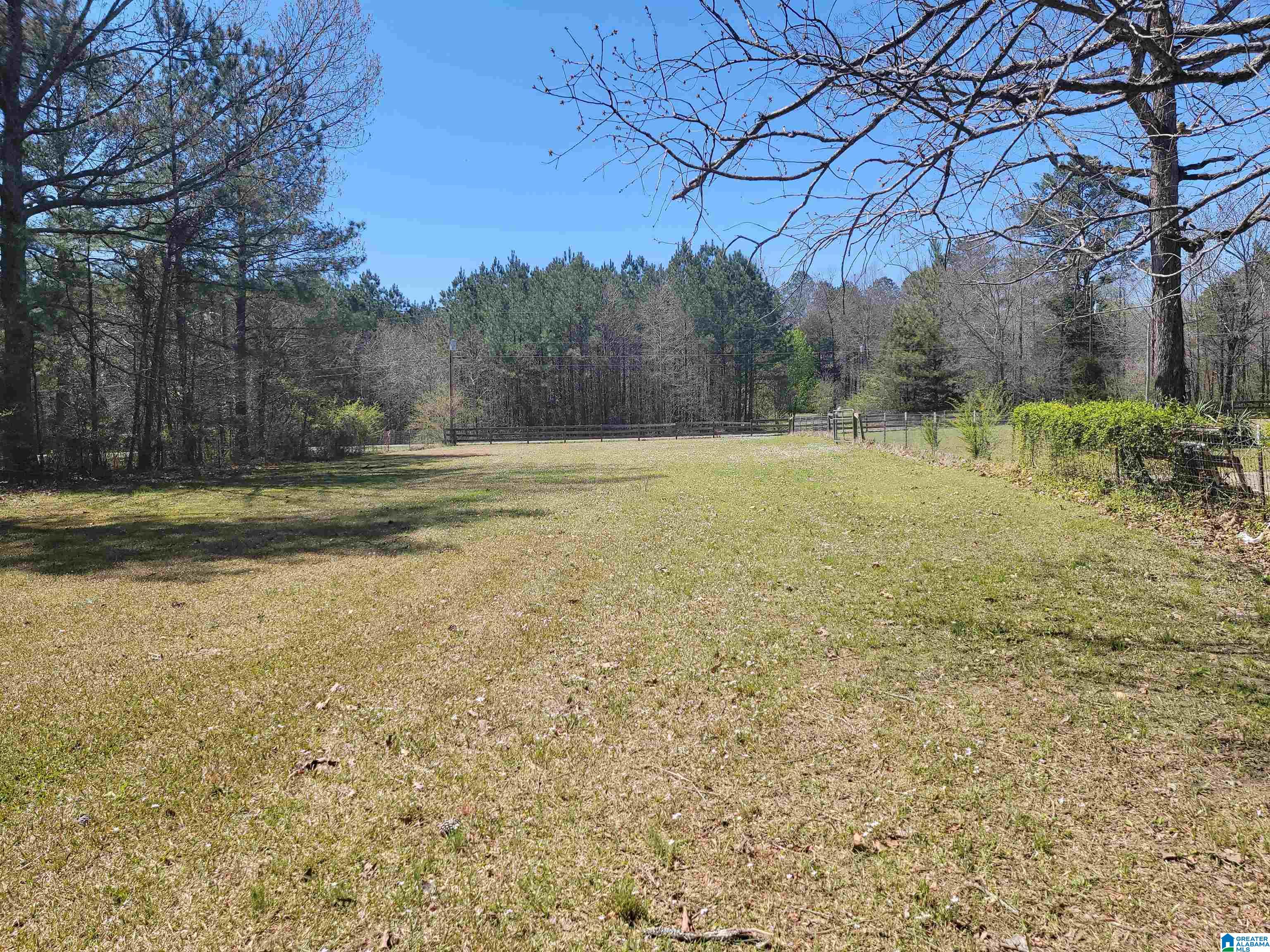 319 Jones Village Road Springville, AL 35146 - Photo 16 of 48