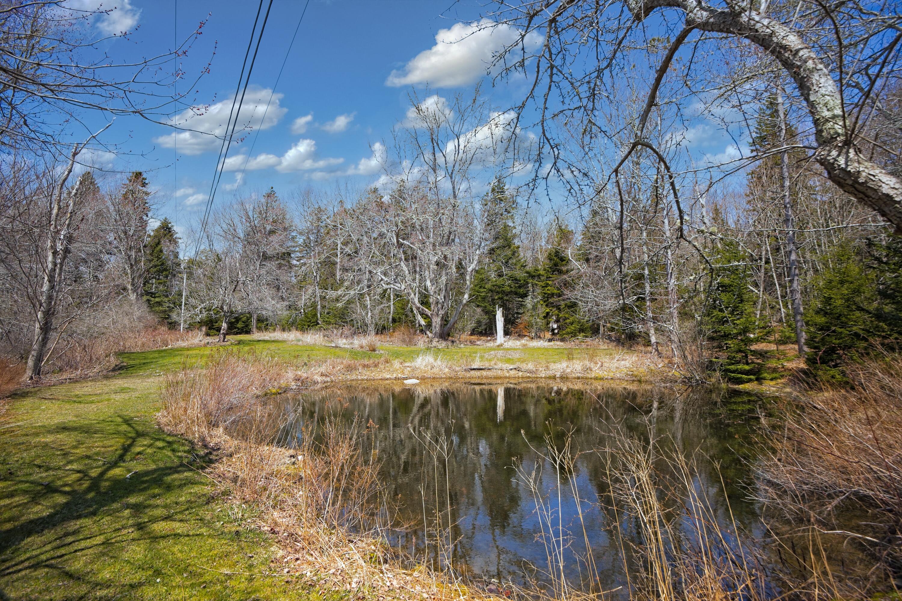 47 Teel Cove Road St. George, ME 04860 - Photo 40 of 44 View across the small pond