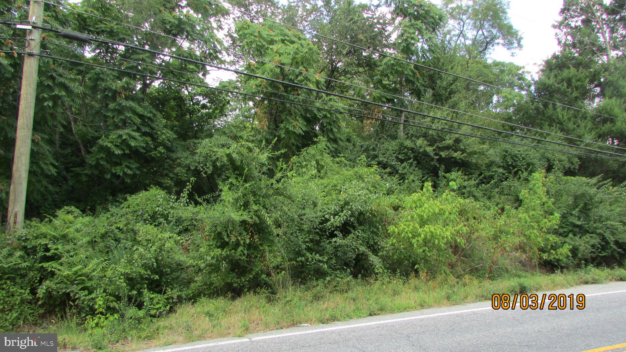 9103 Old Palmer Road Fort Washington, MD 20744 - Photo 7 of 11 Road Frontage on Old Palmer Rd