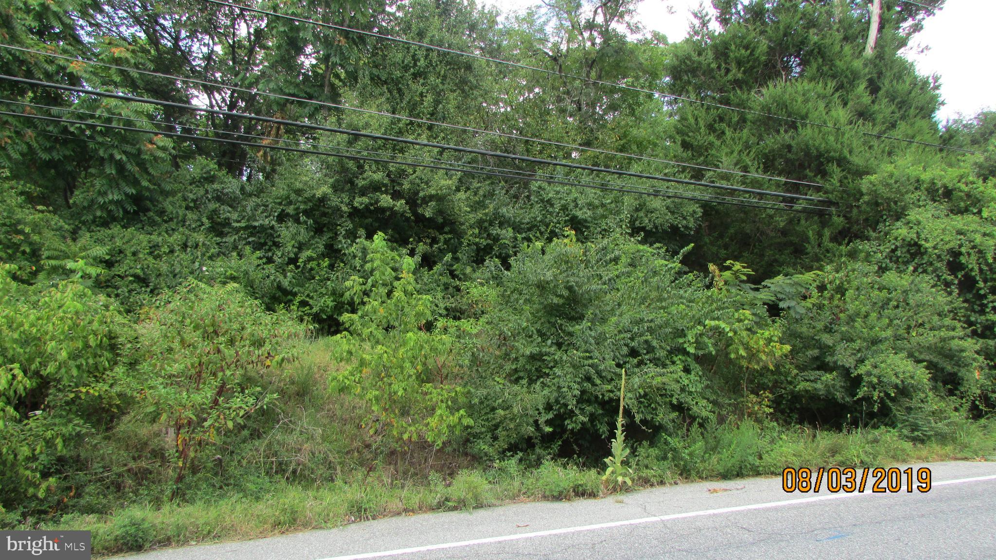 9103 Old Palmer Road Fort Washington, MD 20744 - Photo 8 of 11 Road Frontage on Old Palmer Rd