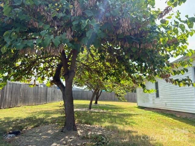 110 North Davis Street Dallas, NC 28034 - Photo 5 of 18 a view of a yard with a tree