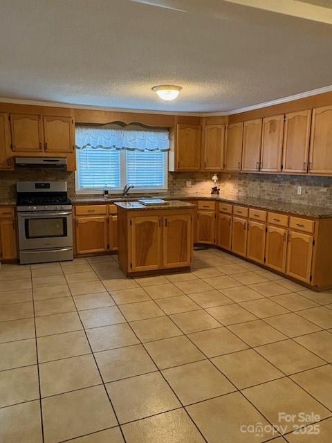 110 North Davis Street Dallas, NC 28034 - Photo 8 of 18 a large kitchen with stainless steel appliances granite countertop a stove a sink and a microwave
