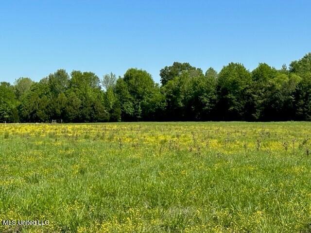 0 Cane Creek Road Flora, MS 39071 - Photo 1 of 6 Pic 1