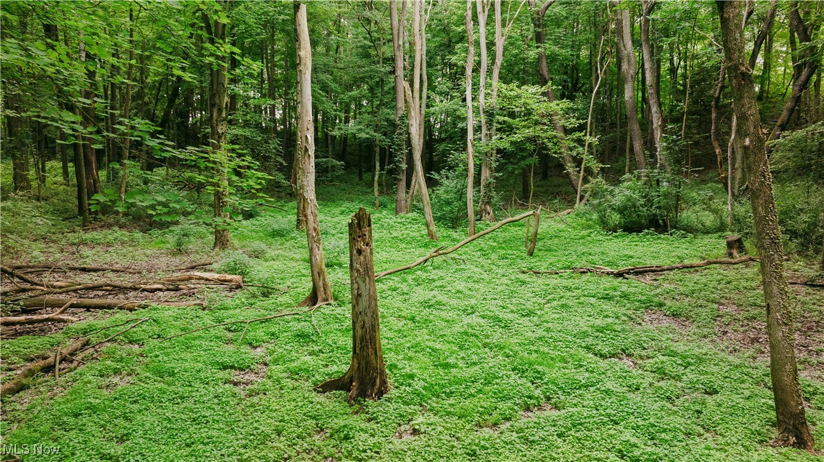 3555 Riverside Drive Northwest Massillon, OH 44647 - Photo 19 of 25 View of nature