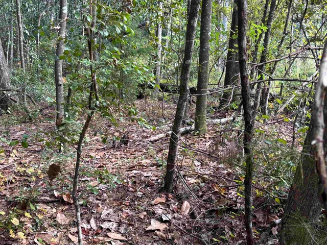 $55,000 | Xxxx Sweetwater Lane, Tallahassee, FL 32311