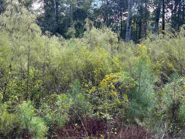 $55,000 | Xxxx Sweetwater Lane, Tallahassee, FL 32311