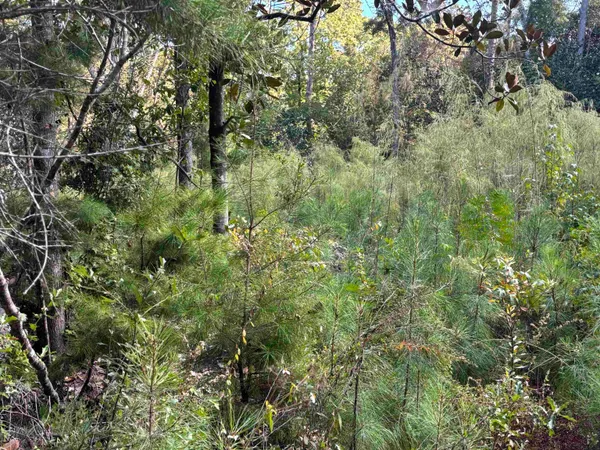 $55,000 | Xxxx Sweetwater Lane, Tallahassee, FL 32311