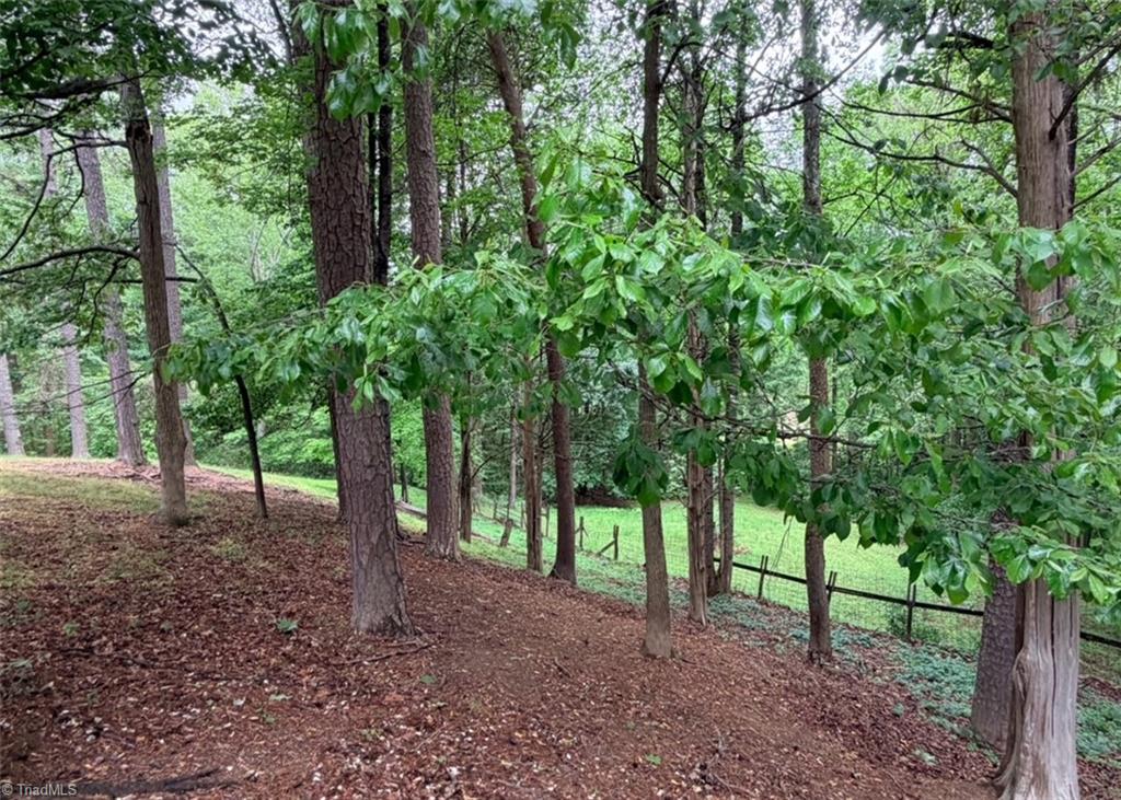 786 Central Road Clemmons, NC 27012 - Photo 9 of 49