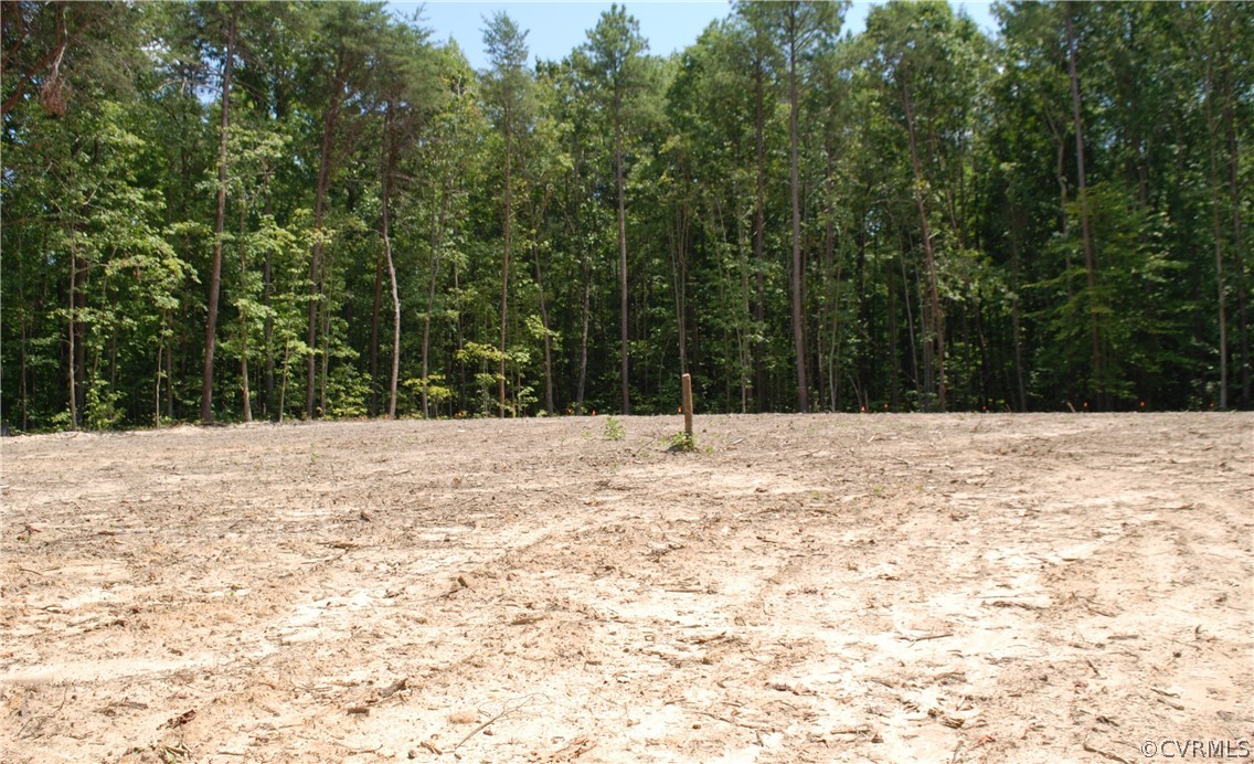 16029 Old Ridge Road Montpelier, VA 23192 - Photo 3 of 8