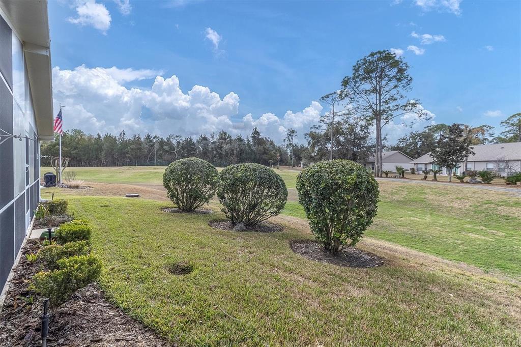 11634 Wheatfield Loop Hudson, FL 34667 - Photo 32 of 38 a view of a large tree in a yard