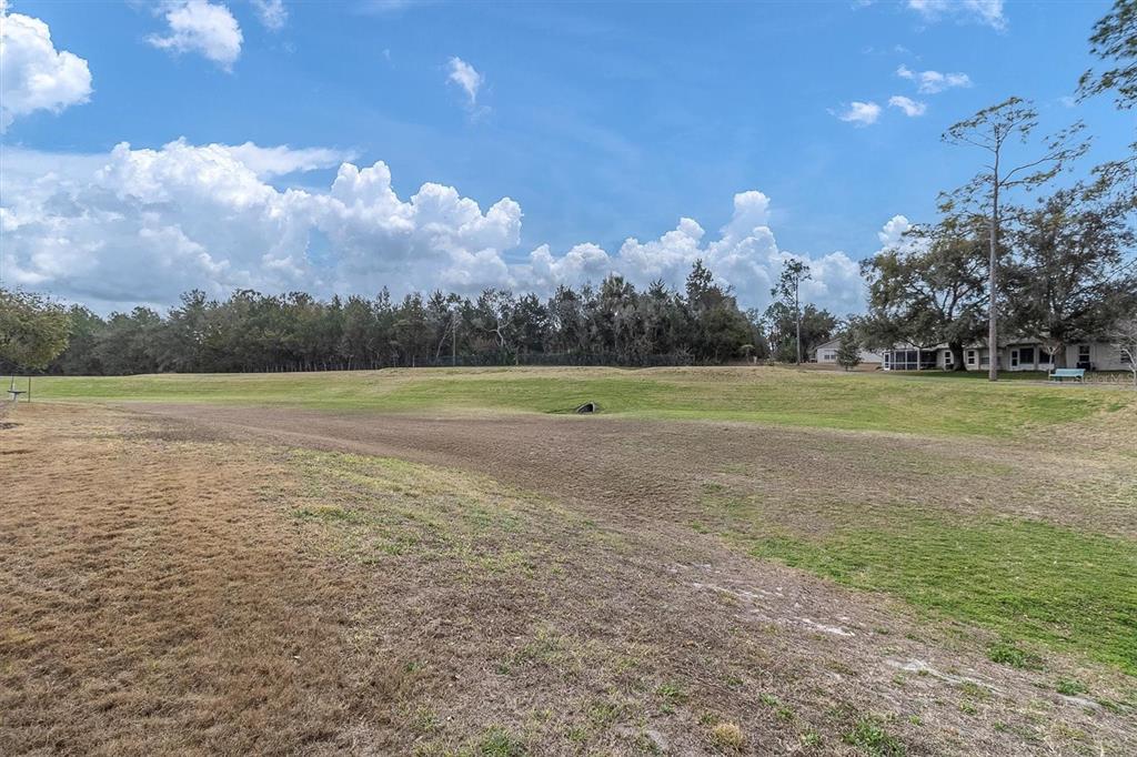 11634 Wheatfield Loop Hudson, FL 34667 - Photo 36 of 38 a view of a golf course with a lake