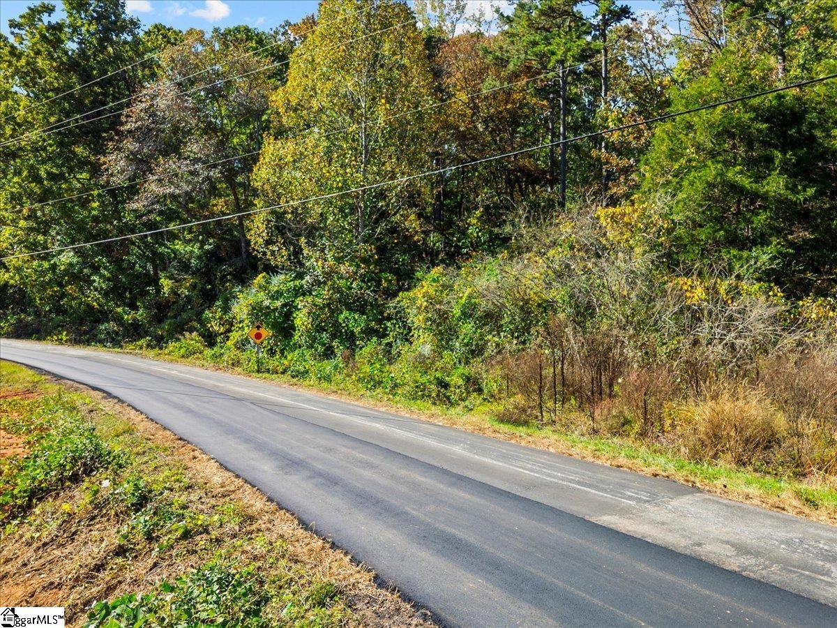 0 Griffin Mill Road, Unit TRACT C Easley, SC 29640 - Photo 11 of 26