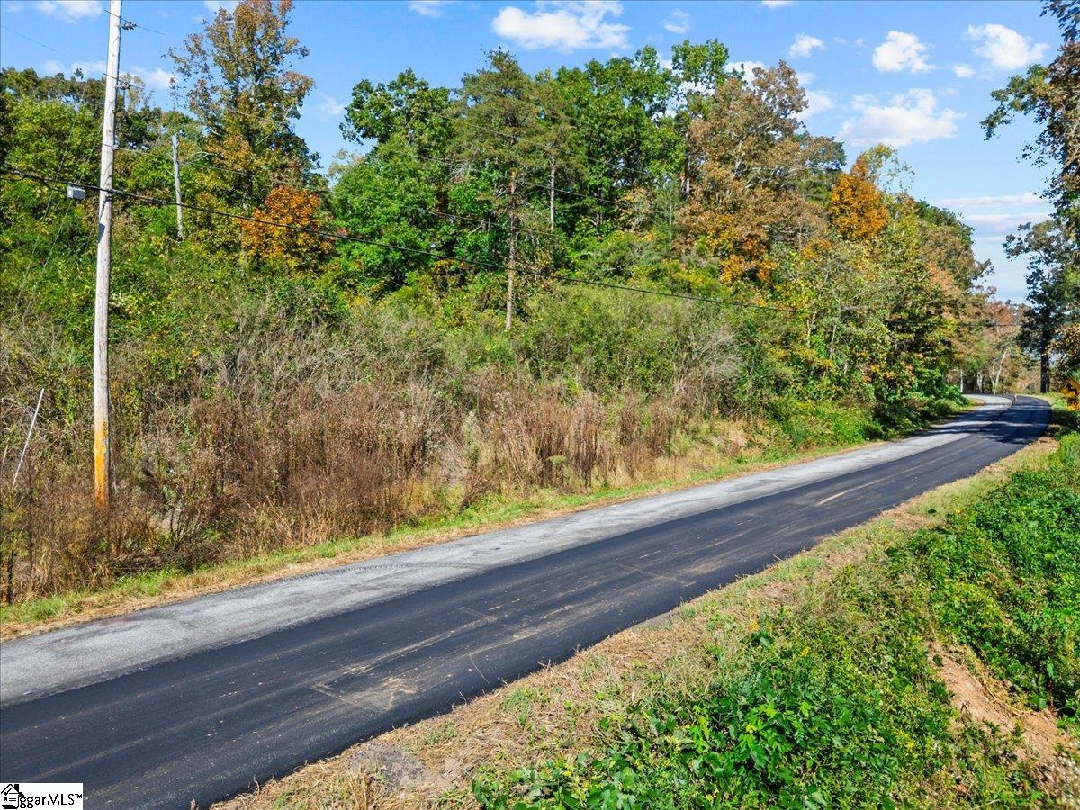 0 Griffin Mill Road, Unit TRACT C Easley, SC 29640 - Photo 12 of 26