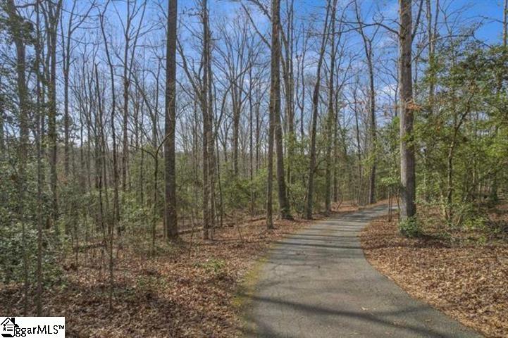 0 Griffin Mill Road, Unit TRACT C Easley, SC 29640 - Photo 22 of 26